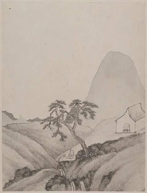 Sera n.19