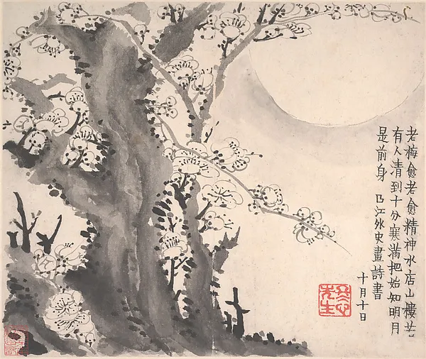 Insegna 788
